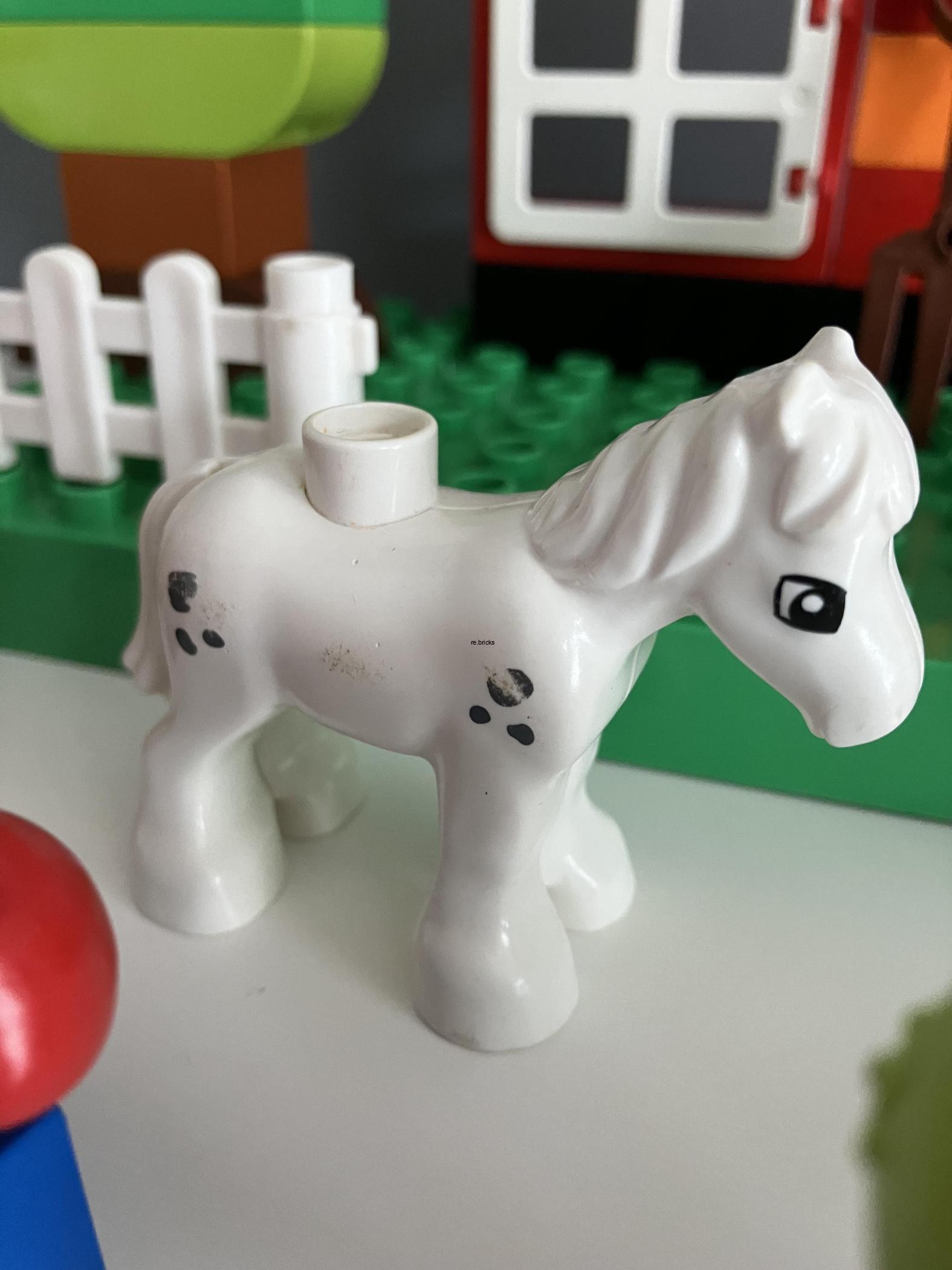 Lego Duplo 10517 Moje první zahrada